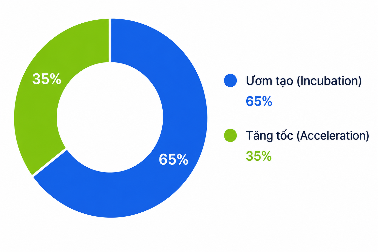 Biểu đồ phân bổ hỗ trợ cho Startup